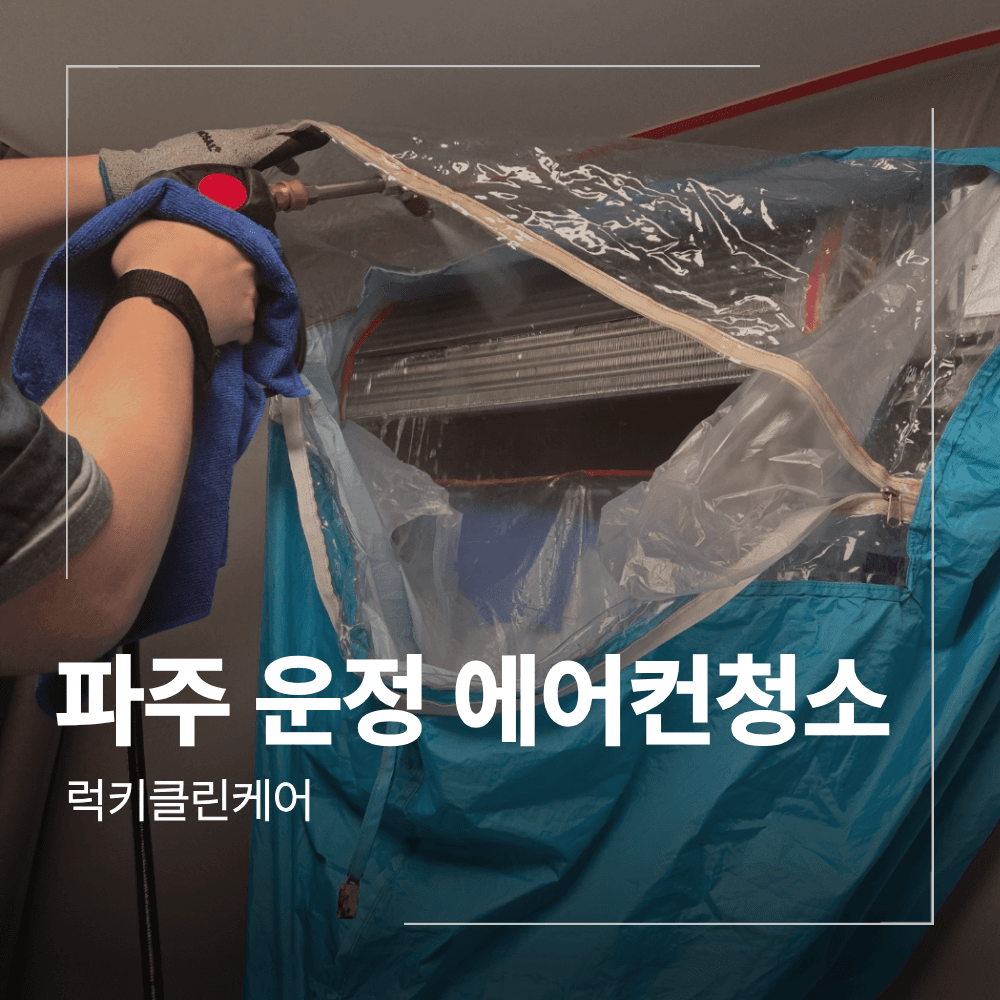 파주 운정 벽걸이 에어컨 청소 곰팡이 분해 세척 후기