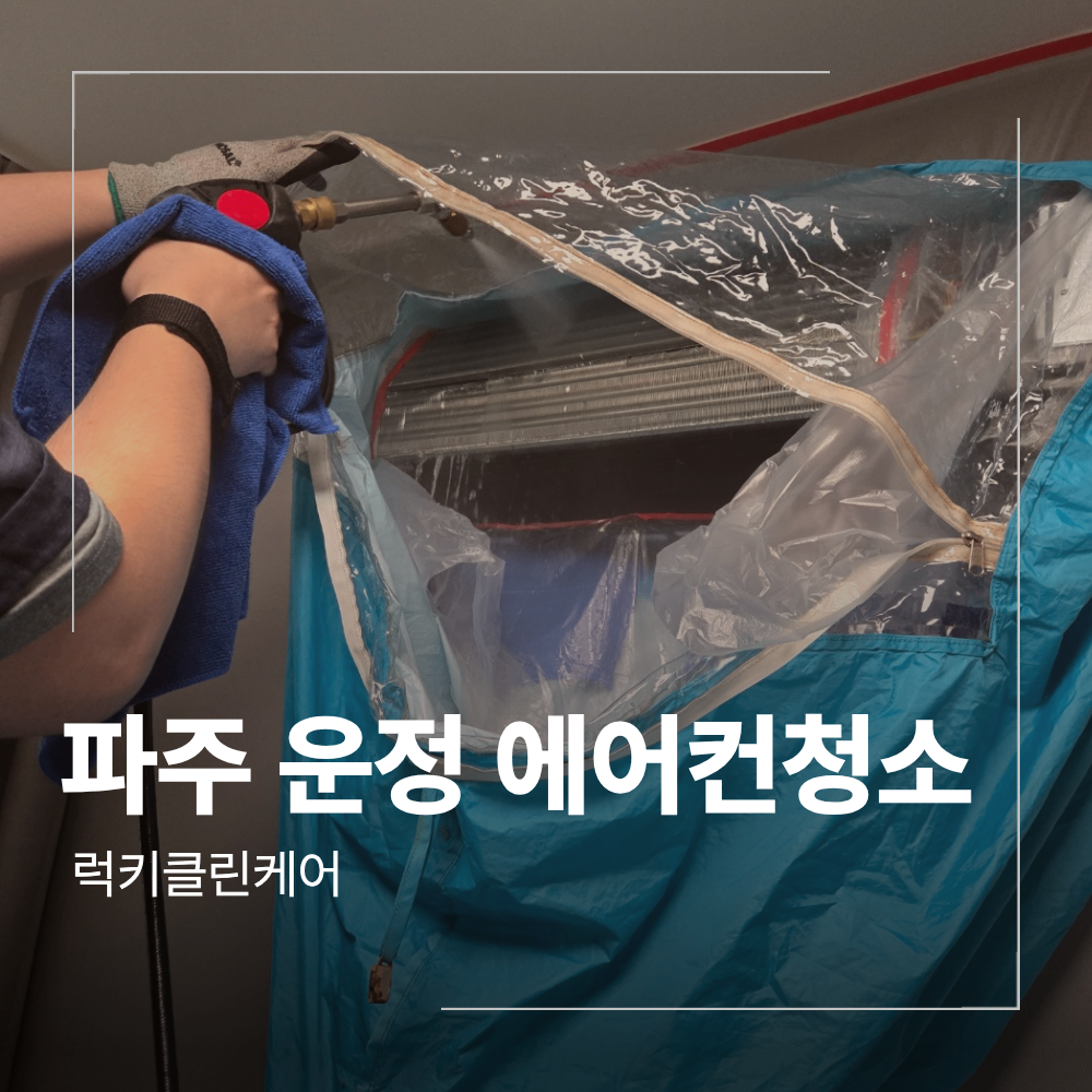 파주 운정 벽걸이 에어컨 청소 곰팡이 분해 세척 후기