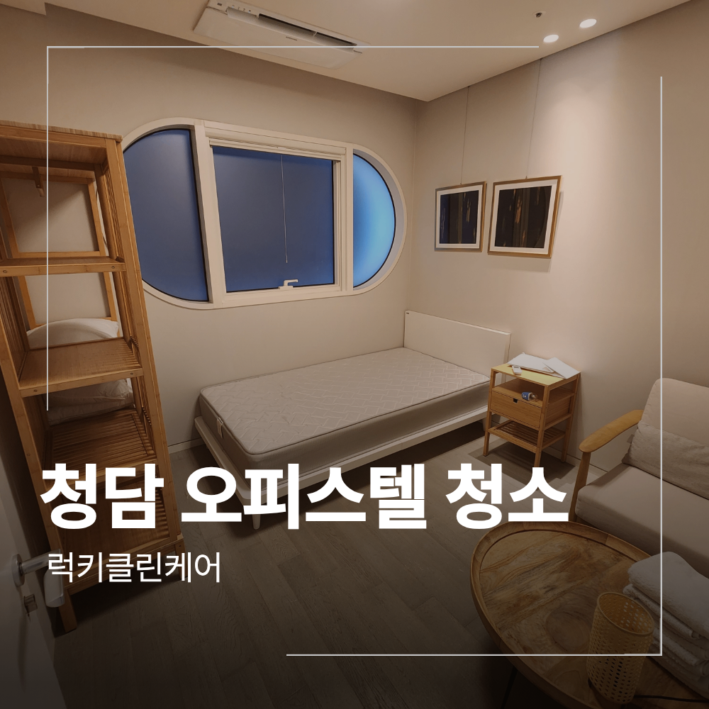 청담 이상봉 디자이너 오피스텔 거주 입주 청소