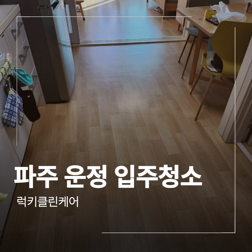 파주 운정 입주 청소 휴먼시아 고양이털 제거